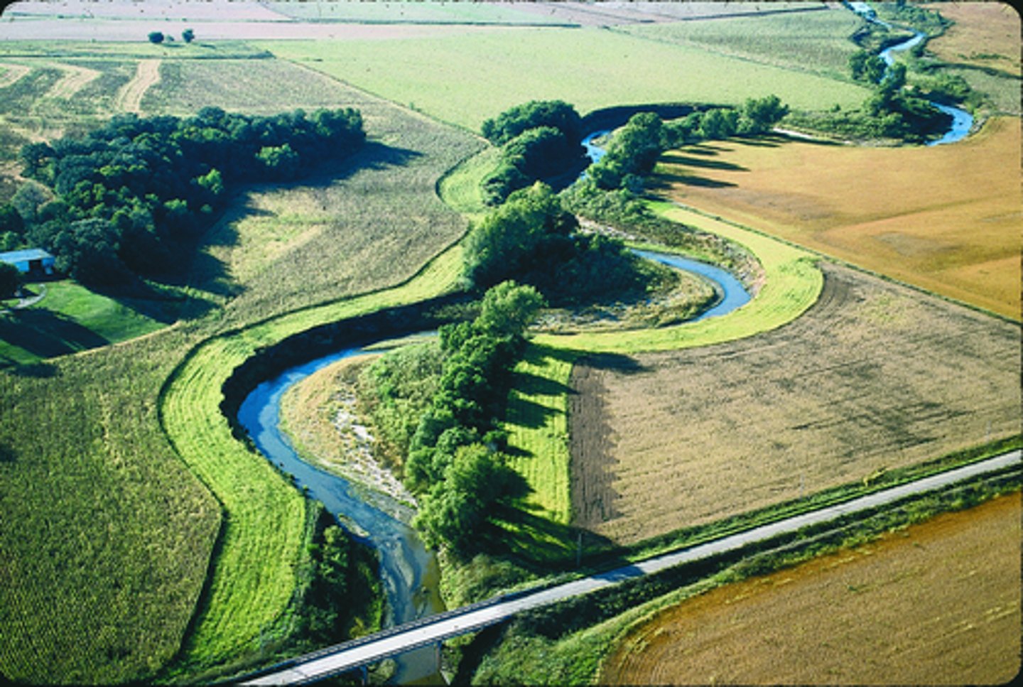 <p>Permanent bands of vegetation that limit entry of sediments, nutrients, pesticides, other contaminants</p><p>Wildlife benefits</p><p>Usually adjacent/parallel to water bodies</p>