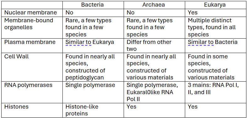 <p>The phylogenetic tree is divided into Bacteria, Archaea, &amp; Eukarya. It is based on the <strong>ribosomal RNA sequences</strong>.</p><ul><li><p>The Archaea are more closely related to the Eukarya</p></li></ul><p>It was created by Carl Woese.</p><p></p>