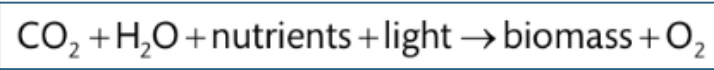 <p>Eqn 6.1 in the book, refers to ___________.&nbsp;</p><p>The hint is that this is the opposite of heterotrophy, and it depends on light. </p>