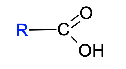 <p>23. The following structural formula is representative of which functional group:&nbsp;</p><table style="min-width: 175px"><colgroup><col><col><col><col><col><col><col></colgroup><tbody><tr><td colspan="1" rowspan="1"><p class="p3">a.</p></td><td colspan="1" rowspan="1"><p class="p1">sulfhydryl</p></td><td colspan="1" rowspan="1"><p class="p3">c.</p></td><td colspan="1" rowspan="1"><p class="p1">carbonyl</p></td><td colspan="1" rowspan="1"><p class="p3">e.</p></td><td colspan="1" rowspan="1"><p class="p1">amino</p></td><td colspan="1" rowspan="1"><p></p></td></tr><tr><td colspan="1" rowspan="1"><p class="p3">b.</p></td><td colspan="1" rowspan="1"><p class="p1">hydroxyl</p></td><td colspan="1" rowspan="1"><p class="p3">d.</p></td><td colspan="1" rowspan="1"><p class="p1">carboxyl</p></td><td colspan="1" rowspan="1"><p class="p4"></p></td><td colspan="1" rowspan="1"><p class="p4"></p></td><td colspan="1" rowspan="1"><p></p></td></tr></tbody></table><p></p>