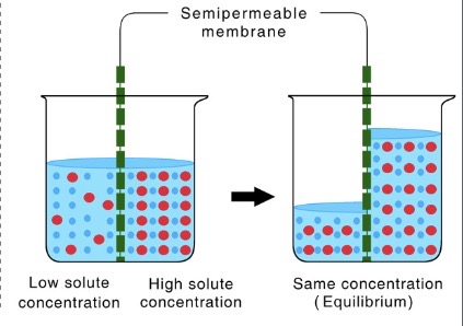 <p>What is this?</p>
