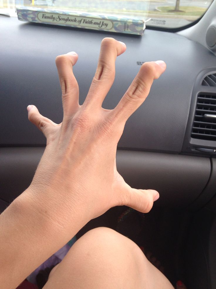 <p>Fingers</p>
