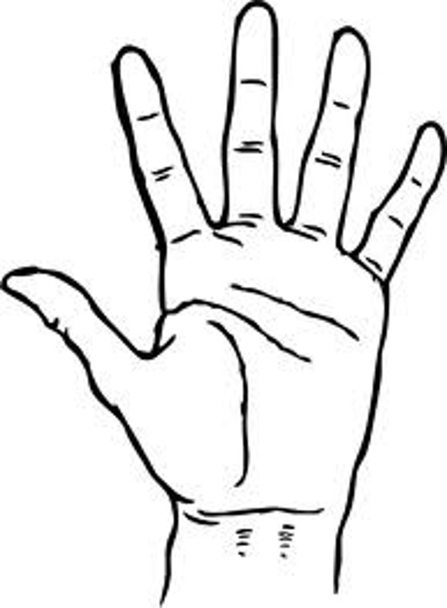 <p>The hand region</p>
