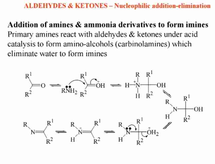 <p><span>Primary amines react with aldehydes to form imines, intermediates in organic synthesis.</span></p>