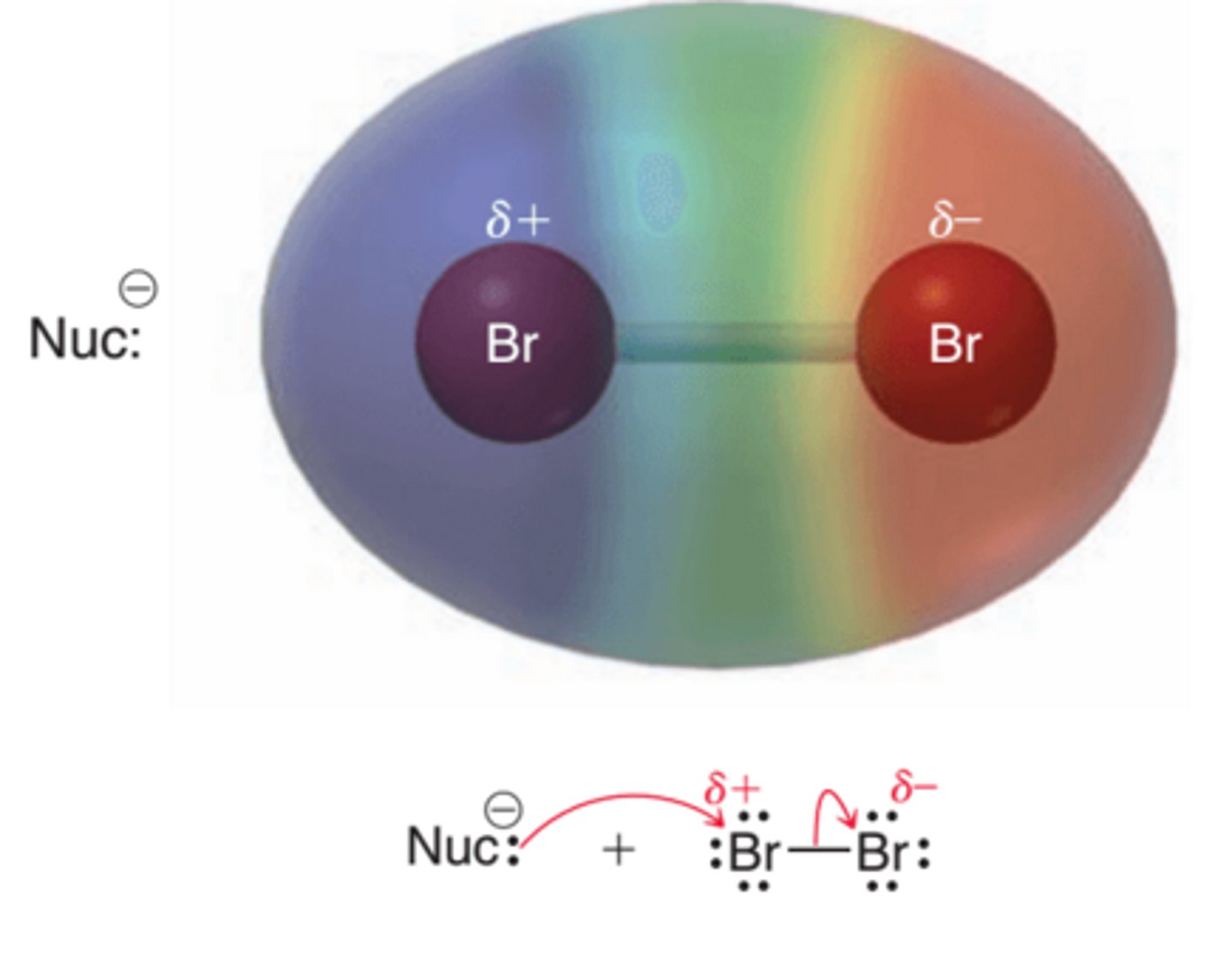 <p>Molecular bromine is a nonpolar compound, because the Br-Br bond is covalent. Nevertheless, the molecule is polarizable, and the proximity of a nucleophile can cause a temporary, induced dipole moment(1st example in image). This effect places a partial positive charge on one of the bromine atoms, rendering the molecule electrophilic and many nucleophiles are known to react with bromine(2nd example in image)</p>