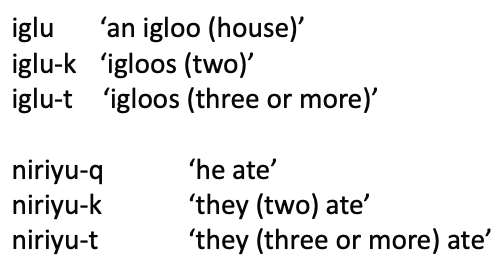 <p>Morphology</p><p>__________: Inuktitut has a single, dual, plural distinction (one thing=one morpheme, a different=another)</p><img src="https://knowt-user-attachments.s3.amazonaws.com/bee1f56b-2ee8-44fd-9406-7b566aad4bb5.png" data-width="25%" data-align="center"><p></p>
