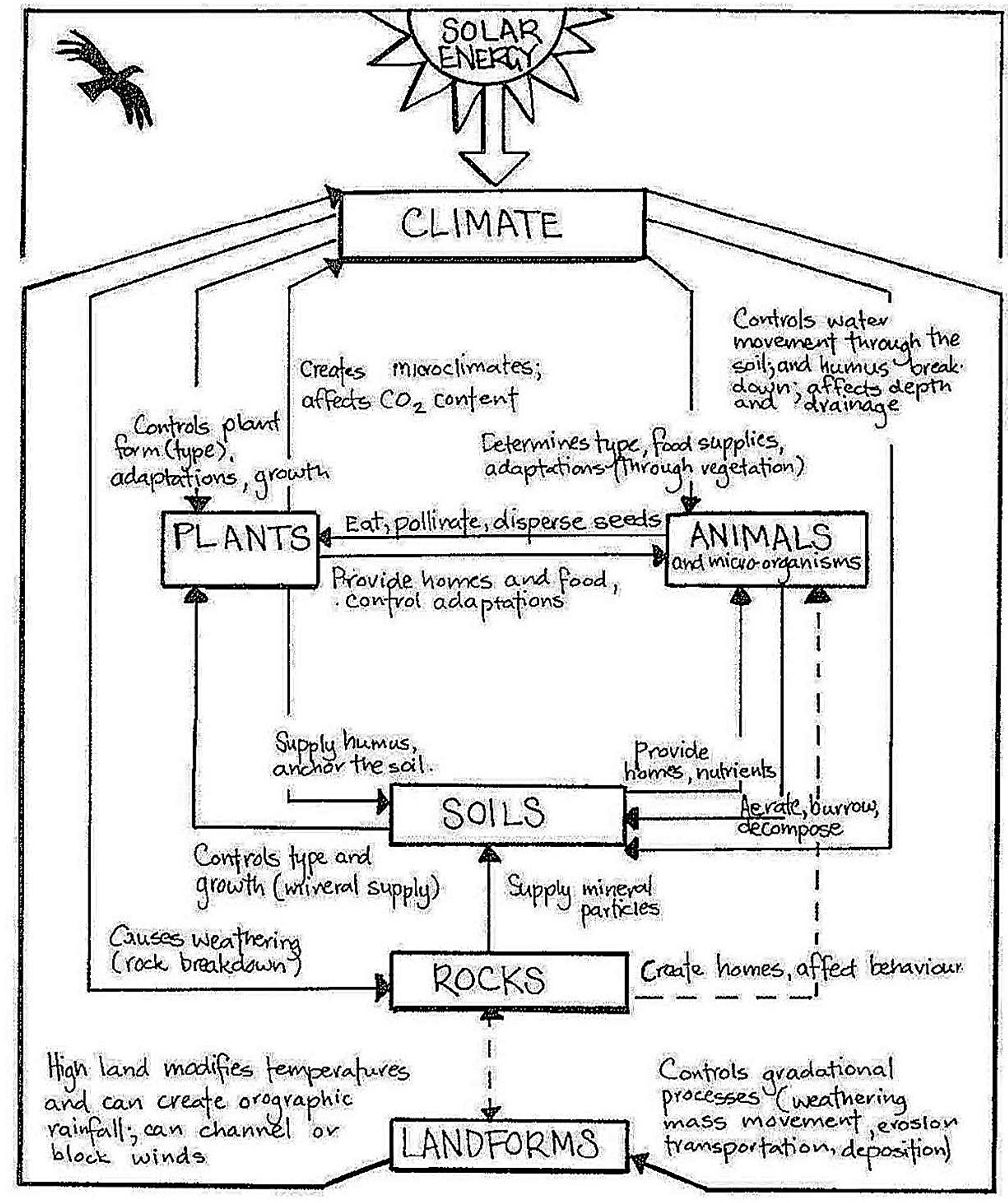 <p>Climate<br>Fauna<br>Vegetation<br>Soils<br>Landforms</p>