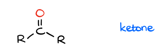 <p>carbonyl with two carbon groups attached</p>