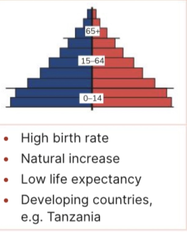 <p>What type of population pyramid is this</p>