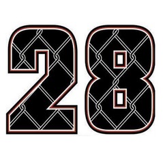 28