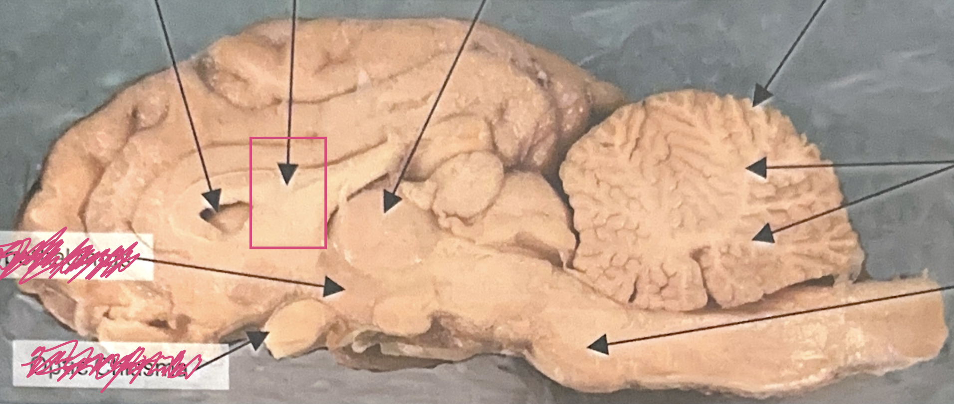<p>What is this highlighted figure?</p>