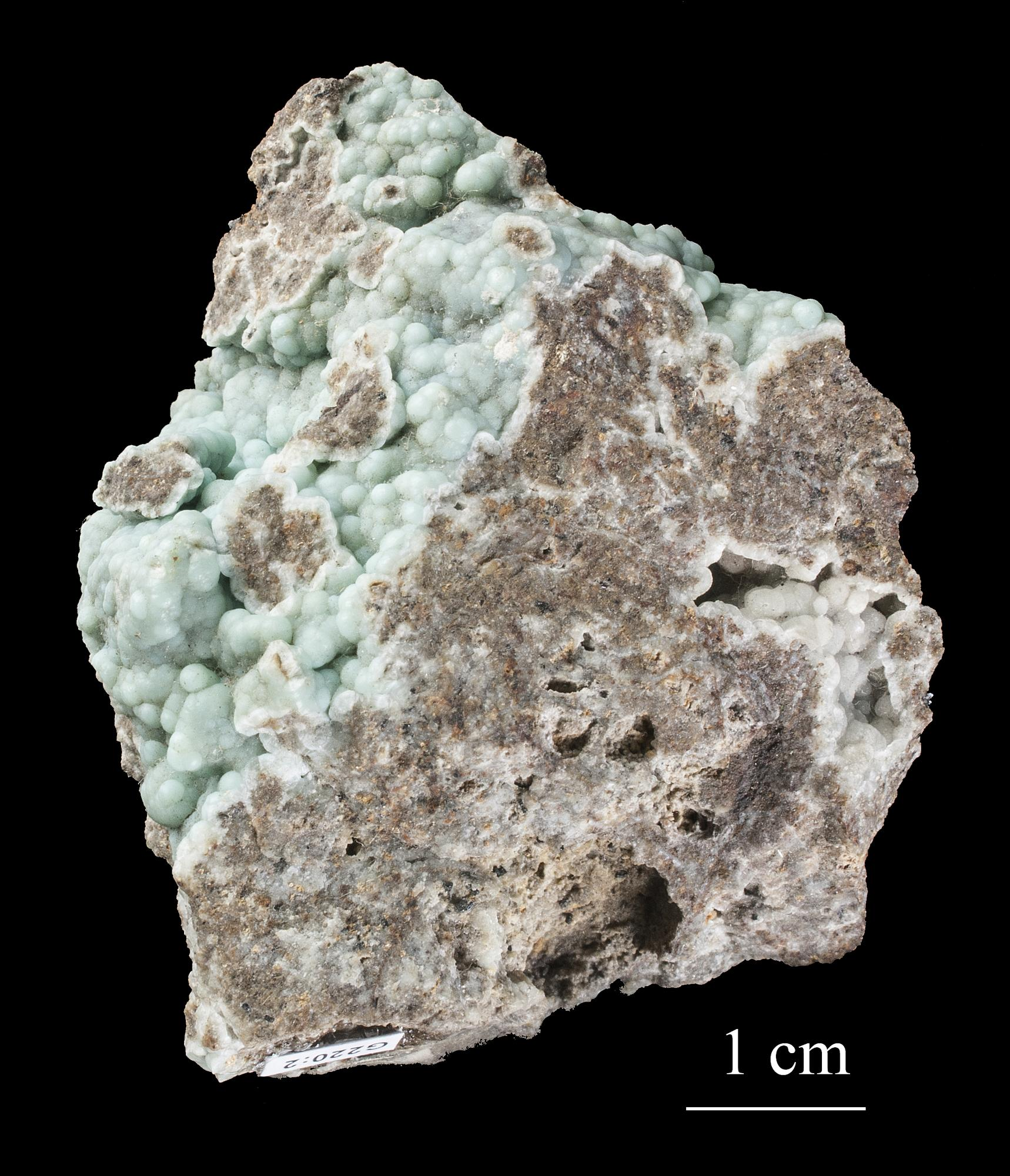 term image
