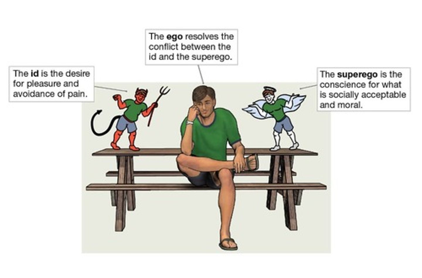 <p>id, ego, superego</p>