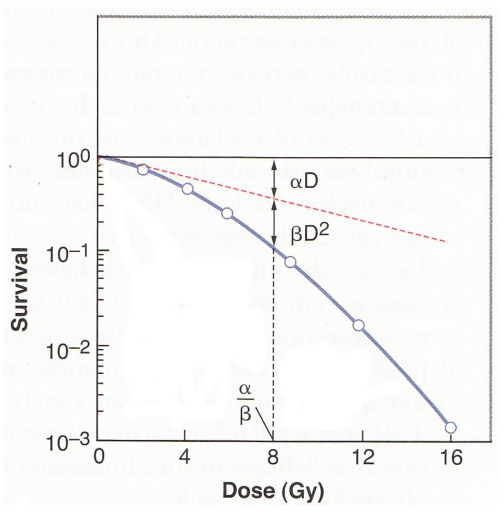 <p>the dose where the linear component equals the quadratic component</p>