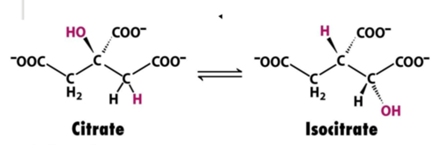 <p>(rearrangement of atoms to form isomers)</p>