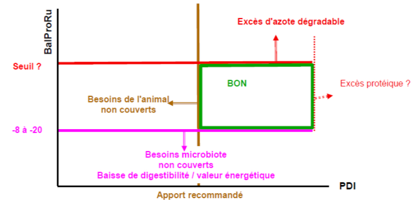 <p>Équilibre</p>