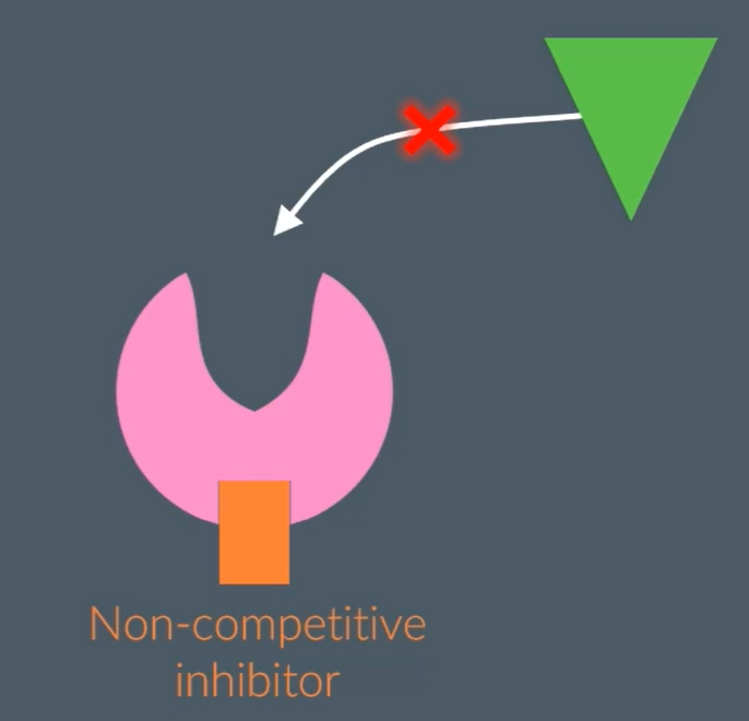 <p>Don’t bind to enzymes active site, but another side of the enzyme, this alters the active site, preventing substrate to bind, and this is permanent.</p>