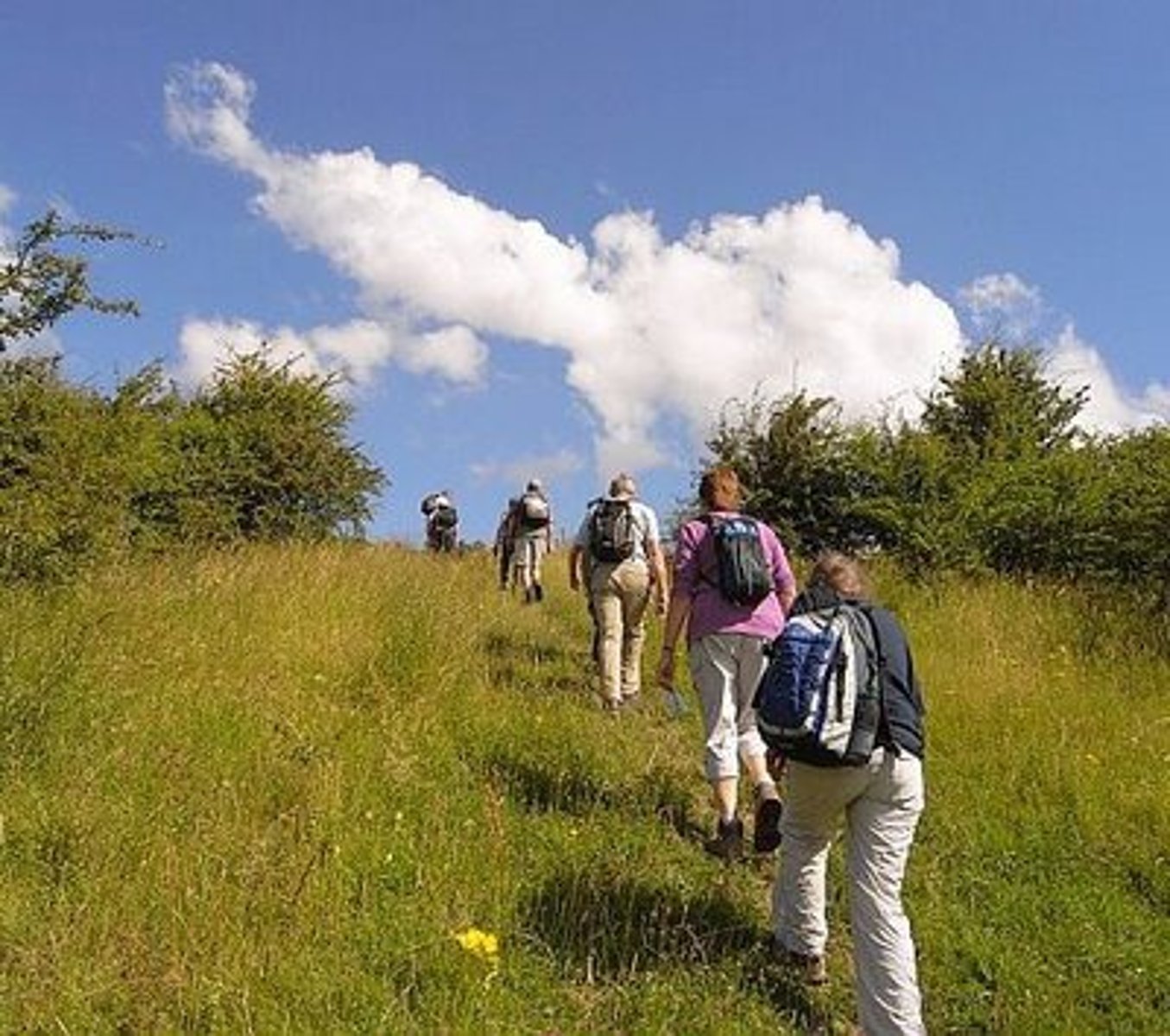 <p>We went up (subir)</p>