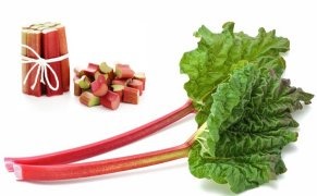 red - deep red stalks that have lighter - green tops. They have one leaf that is a green - deep green color.