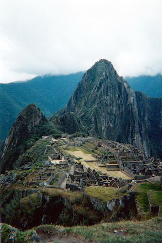term image
