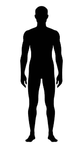 <p>body</p>