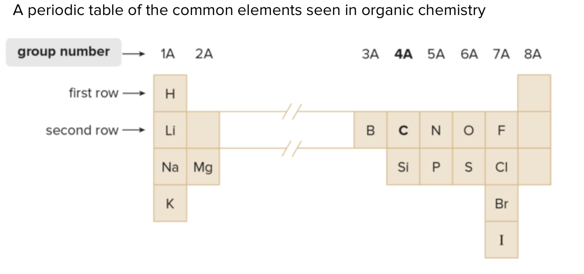 <p>Hydrogen, Oxygen, Nitrogen, Sulfur, Phosphorous, Chlorine,  Fluorine, Bromine, Iodine, Lithium, Sodium, Magnesium, Copper, and Zinc</p>