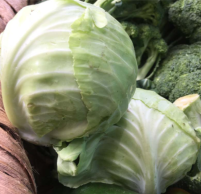 <p>Cabbage</p>