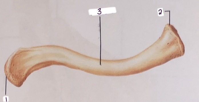 <p>2</p>