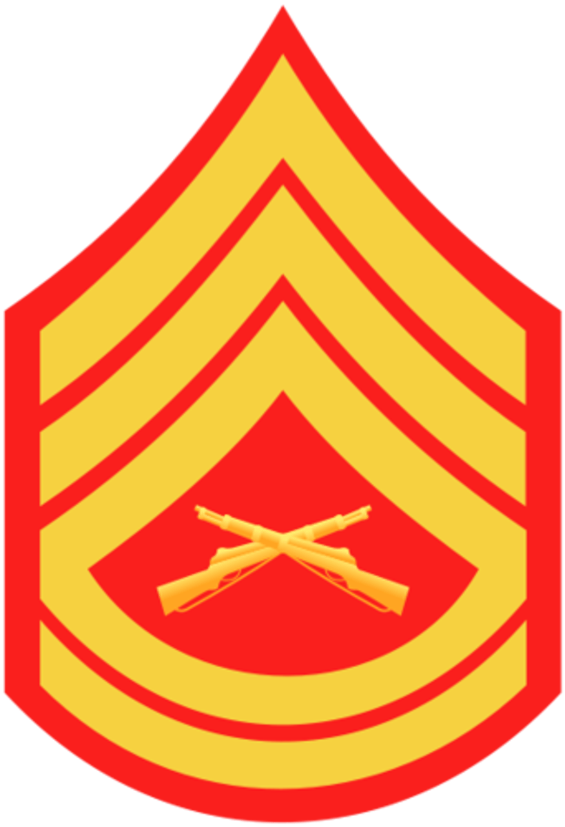 <p>Three Stripes, Two Rockers &amp; Cross Rifles E-7</p>
