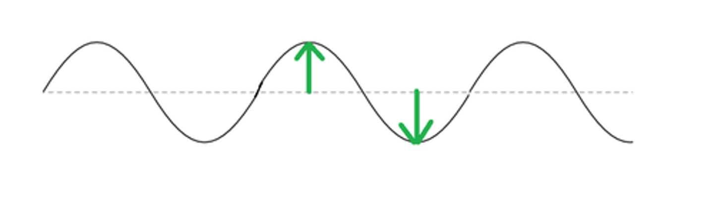 <p>Height of a wave (distance from the equilibrium to a crest or trough.)</p>