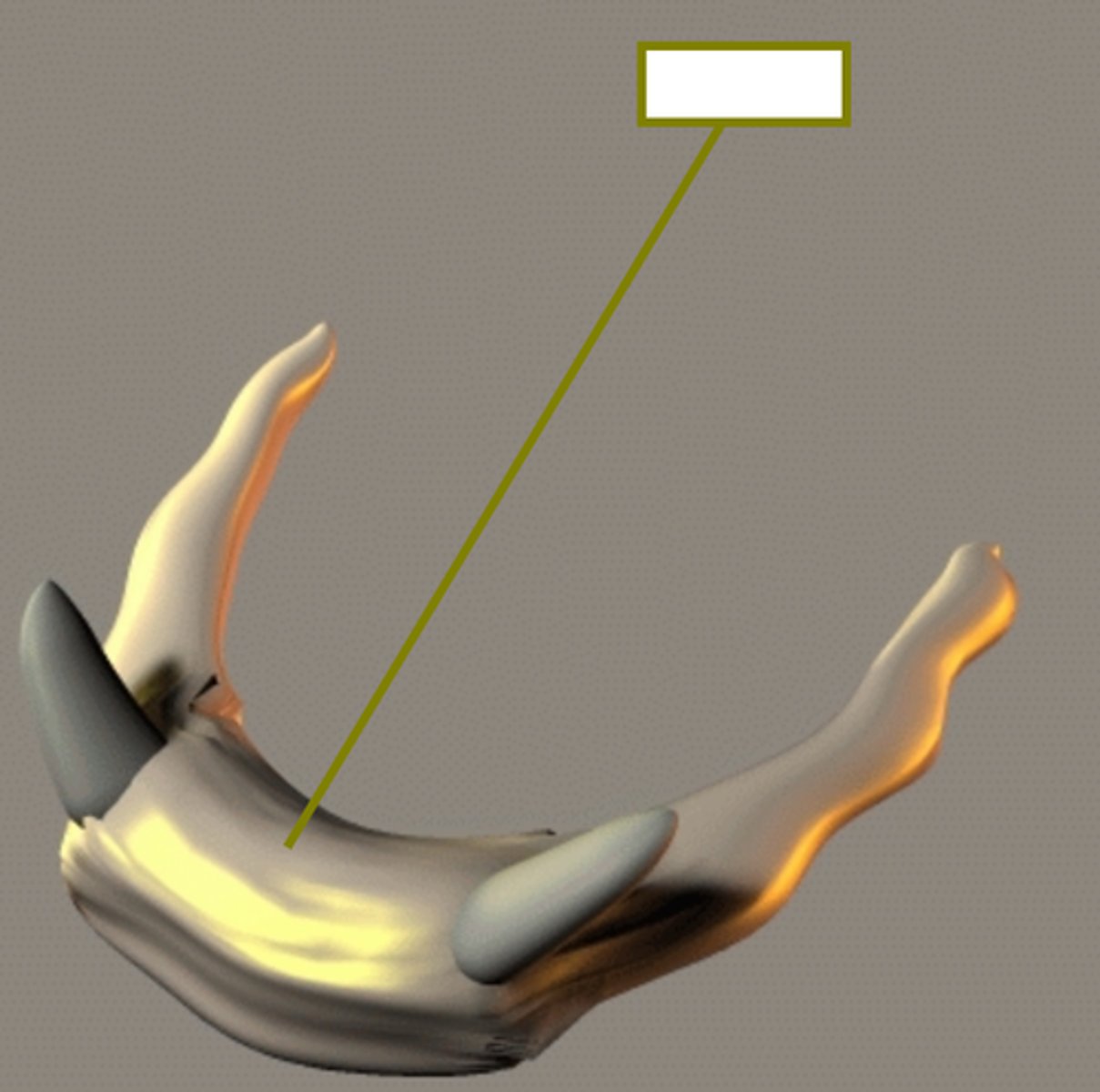 <p>large central portion of the uterus</p>