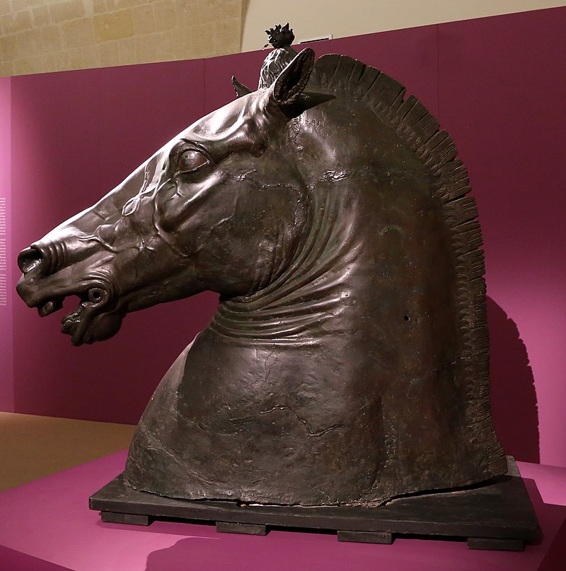 <p><strong>Testa di cavallo (“Testa Carafa”, museo archeologico nazionale di Napoli)</strong></p>