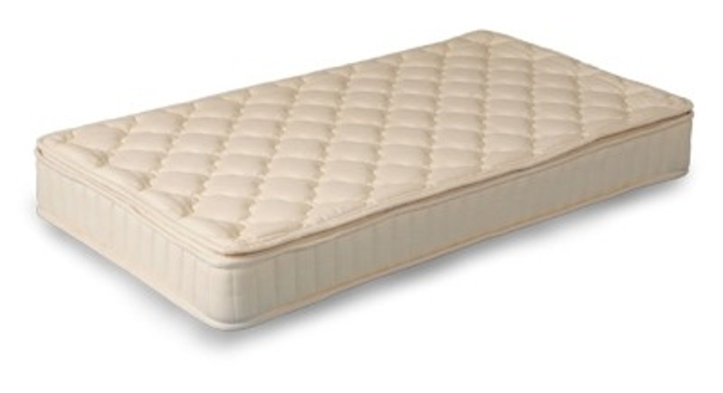 <p>the mattress</p>