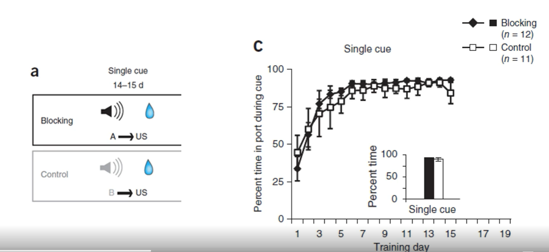 <p>what does this graph indicate?</p>