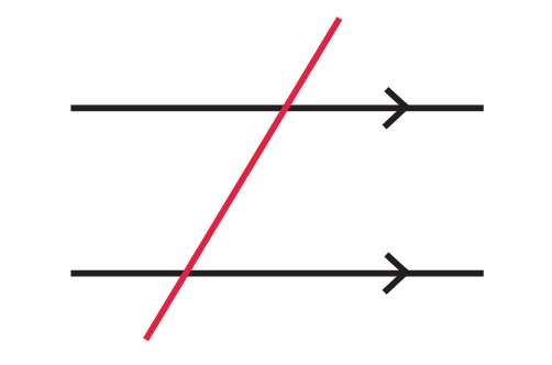 <p>A line that intersects two or more lines at different points.</p>