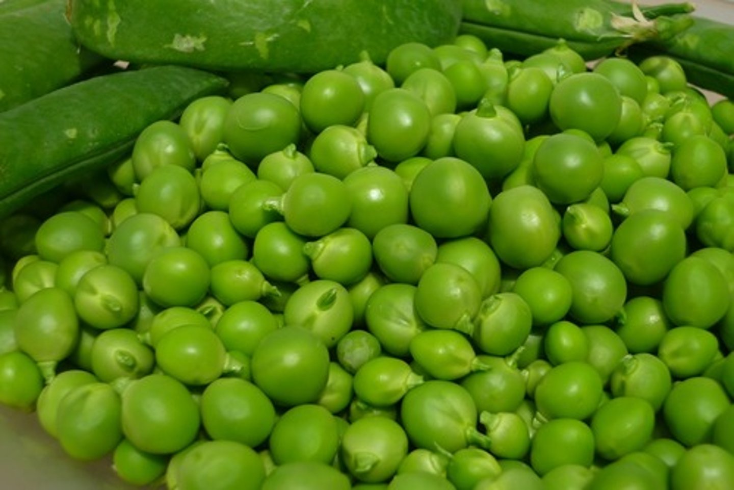 <p>peas</p>