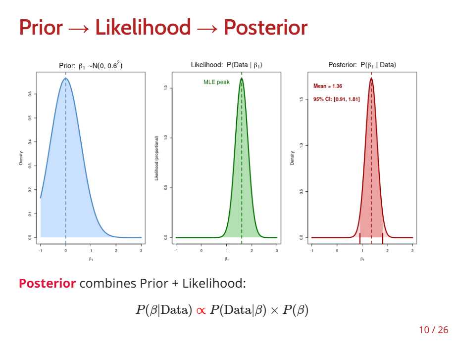 <p><strong>Likelihood:</strong> Defined from the regression model, which describes every <strong>independent observation </strong><span><strong>yi</strong></span> as:</p><p><span>yi=β0+β1xi+ϵi,ϵi∼N(0,σ2)</span></p><p><span>same as          yi∼N(β0+β1xi,σ2)</span></p><p><span>           P(yi|β)=1√2πσ2exp(−(yi−β0−β1xi)22σ2)</span></p><p>Because we assume independence, the likelihood of the data <span>y1,…,yn</span> is the product of the likelihoods for each data point.</p><p><span>              P(Data|β)=P(y1,…,yn|β)=n∏i=1P(yi|β)</span></p><p></p><p></p><p><strong>Likelihood:     </strong><span>yi∼N(β0+β1xi,σ2)</span></p><p><span>              P(Data|β)=n∏i=1P(yi|β)=L(β|Data)</span></p><p><strong>Prior distributions</strong> over parameters</p><ul><li><p><span>β1∼Normal(0,10)</span> (slope prior)</p></li><li><p><span>β0∼Normal(0,100)</span> (intercept prior)</p></li><li><p><span>σ∼Uniform(0,10)</span> (error variance prior)</p></li></ul><p><strong>Posterior distribution:     </strong><span>P(β|Data)∝P(Data|β)×P(β)</span></p><p></p>
