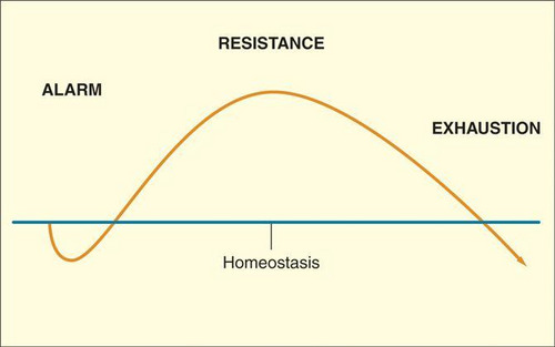 <p><span>Selye's concept of the body's adaptive response to stress in three phases-<strong> alarm reaction, resistance, and exhaustion. </strong></span>body does well with temporary stress, but prolonged stress is very harmful</p>