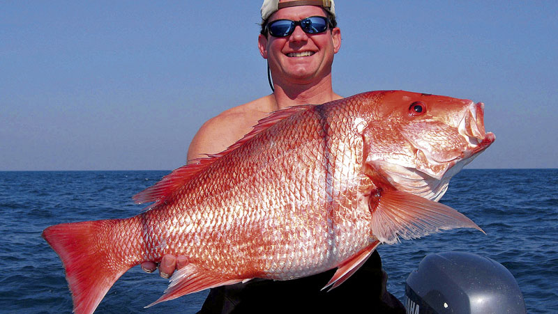 <p><span>red snapper</span></p>