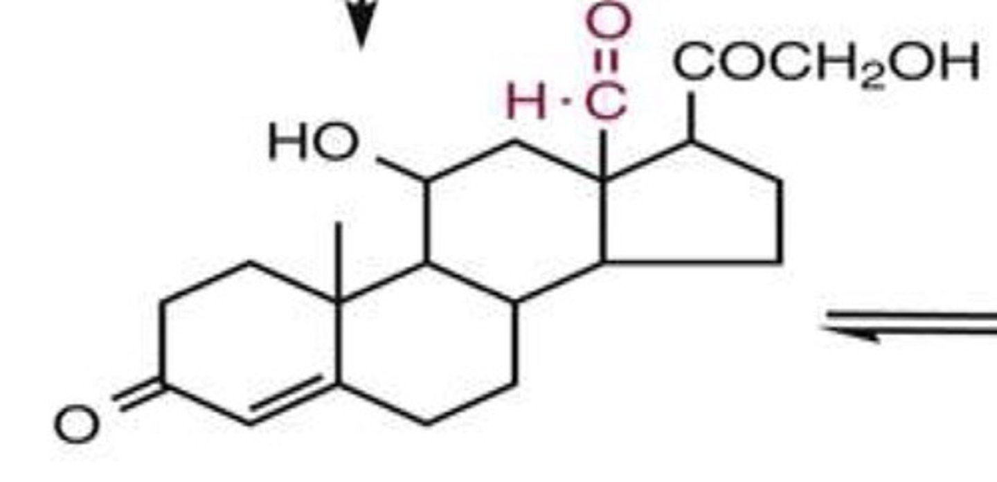 <p>What is this structure and what path is it made by</p>