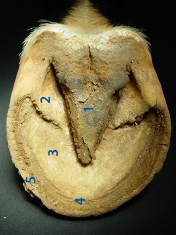 <p>What is 3?</p>