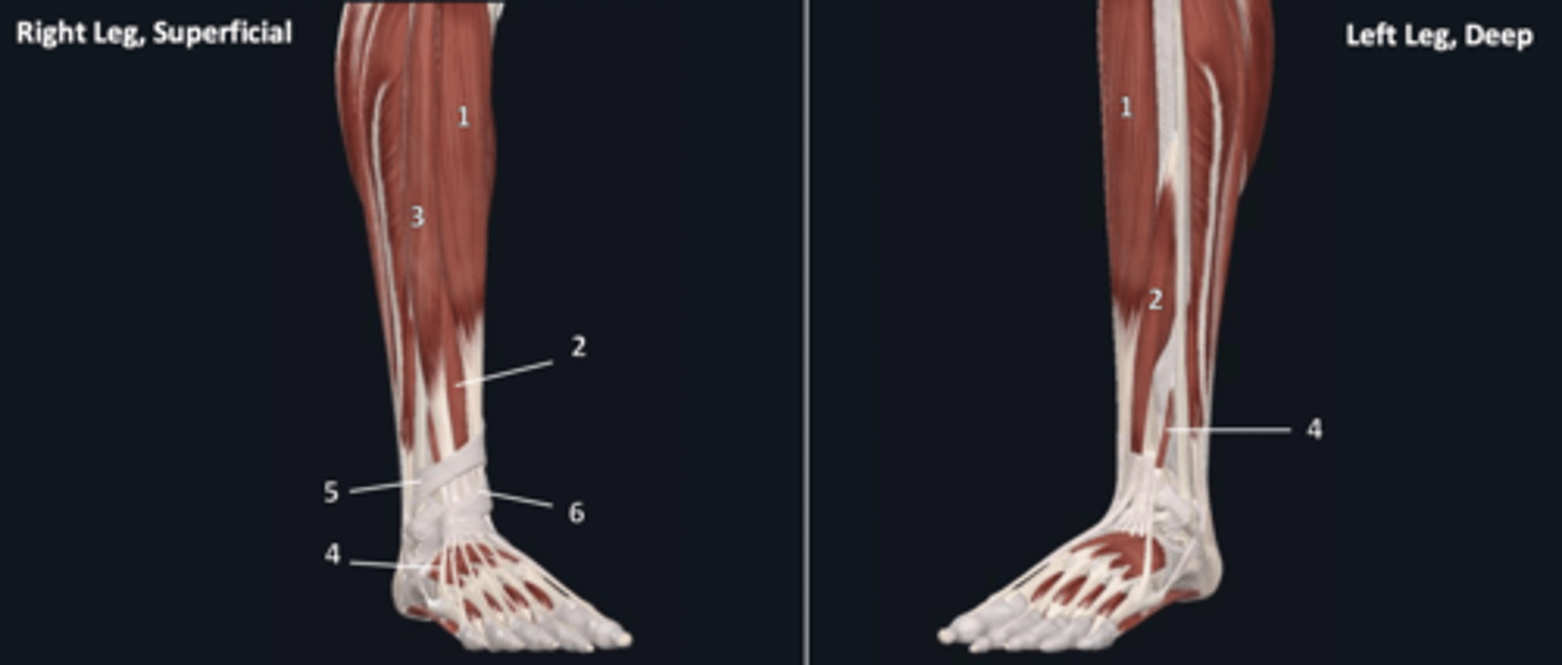 <p>1</p>