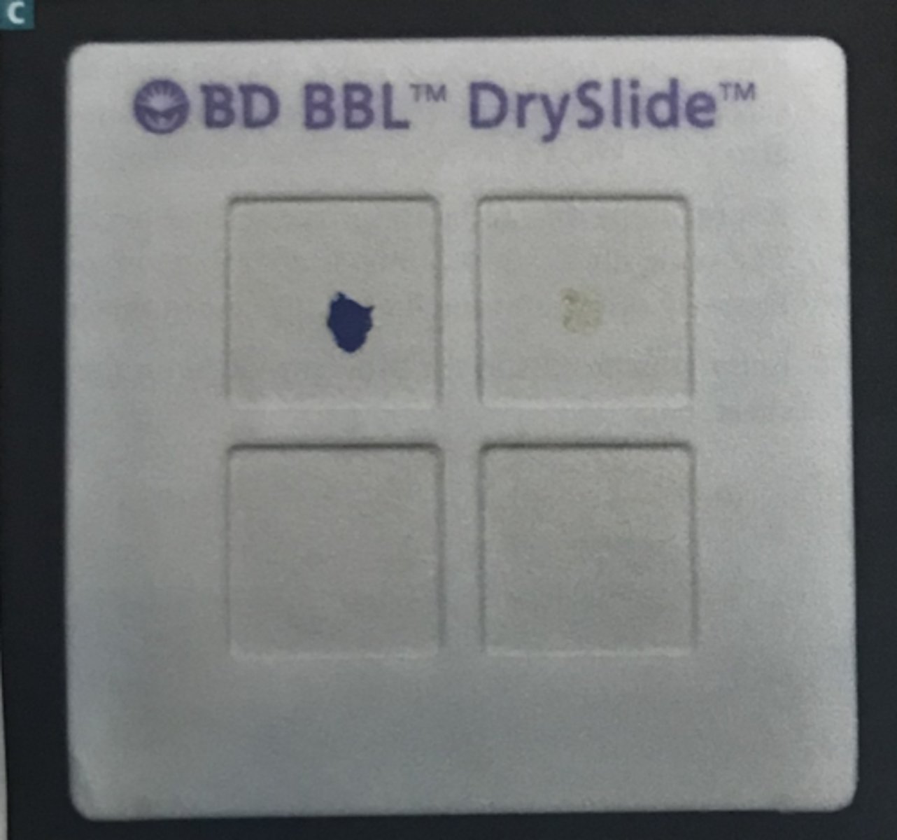 <p>OXIDASE TEST</p><p>NO color change to dark blue/purple within 20 seconds indicates . . .</p>
