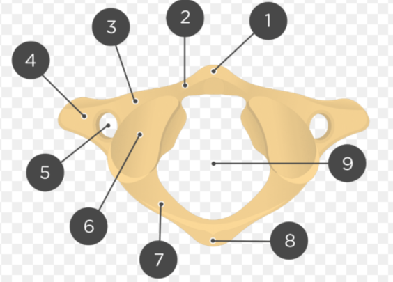 <p>What’s 9?</p>