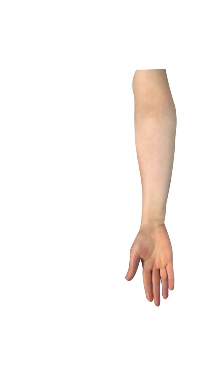 <p>Forearm</p>