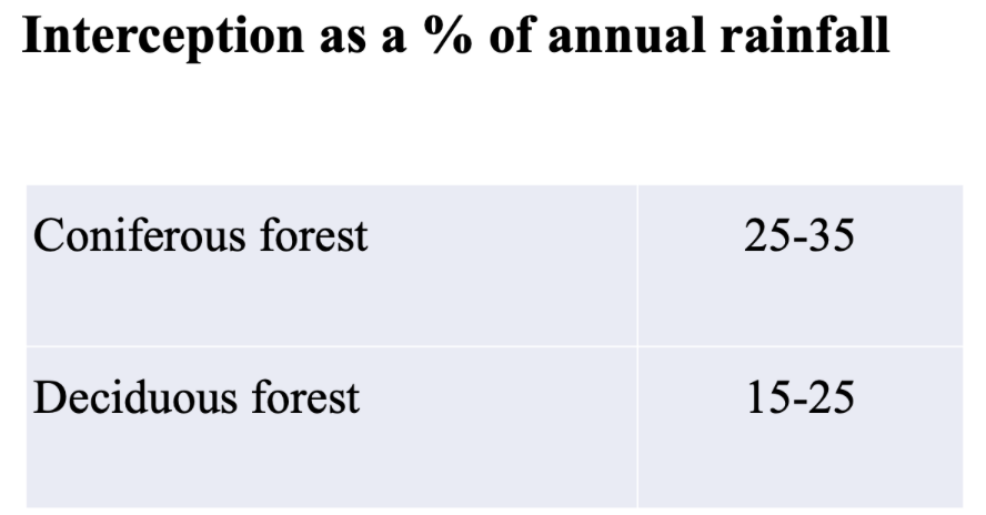 <ul><li><p><strong>Field site -</strong> easy to measure in an open field site.</p></li><li><p><strong>Stem flow and through fall - </strong>rough surface is harder for the trickle effect in stem flow. Through fall depends on drip points of the leaves. </p></li><li><p><strong>Water balance approach - </strong>deciduous or coniferous. </p></li></ul><p>Greater interception loss from coniferous pine than from deciduous hardwoods that drop their leaves in autumn. </p><p>If trees further part = increased wind speed = more evaporation = less interception. </p><p></p>