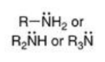 <p><span><span>R-NH₂ (primary amine)</span></span><br><span><span>R₂NH (secondary amine)</span></span><br><span><span>R₃N (tertiary amine)</span></span><br><br><span><span>functional group: -NH₂</span></span><br><span><span>(amino group)</span></span></p>