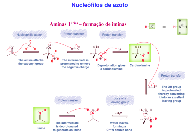 <p>1) ataque nucelofílico (da amina)</p><p>2) protonação da carga negativa do O</p><p>3) desprotonação (para originar uma carbinolamina)</p><p>4) protonação do OH (para se tornar num bom grupo abandonante)</p><p>5) saída do grupo abandonante (formação do C=N)</p><p>6) desprotonação para dar uma imina</p>