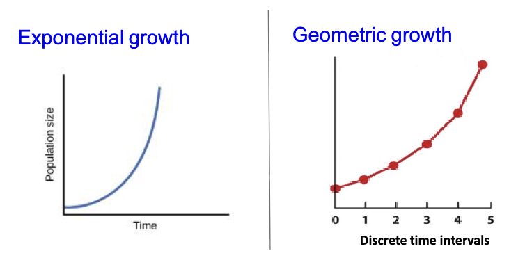 <p>Geometric and exponential models describe population growth in an idealized environment with unlimited resources and good conditions</p>