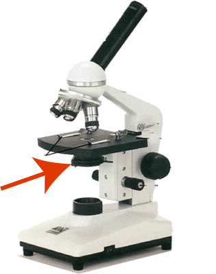 Identify this part of the microscope.